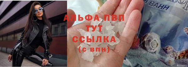 дурь Новодвинск