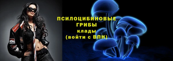 mdpv Нея