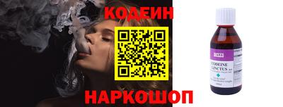 индика Дубна