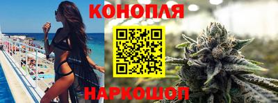 индика Дубна