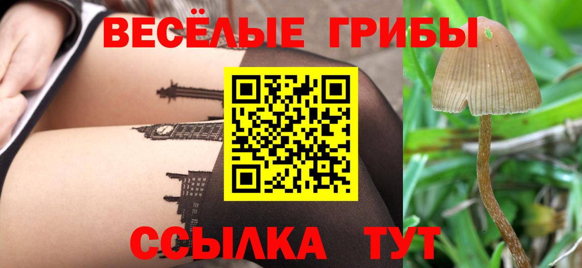 Псилоцибиновые грибы GOLDEN TEACHER Кашира