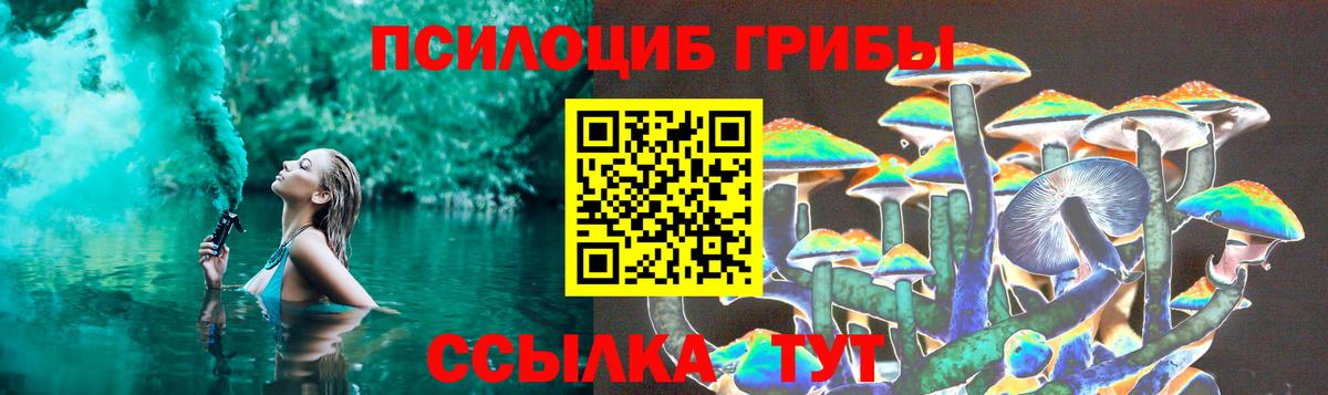 купить   Вход с VPN  Кашира  Псилоцибиновые грибы Magic Shrooms 