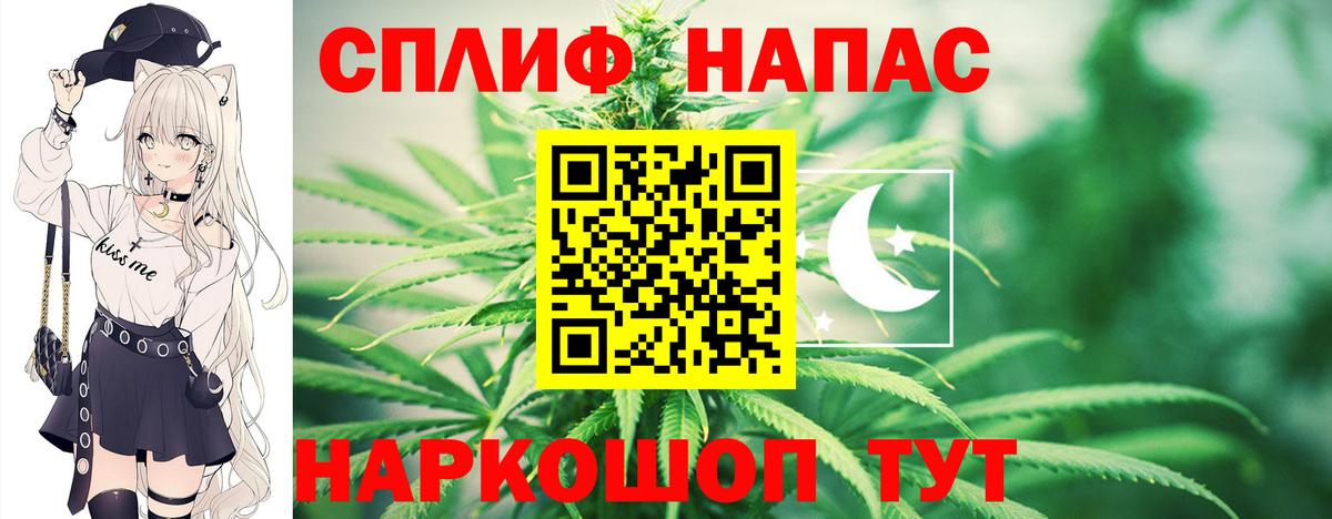 Марихуана сатива Кашира
